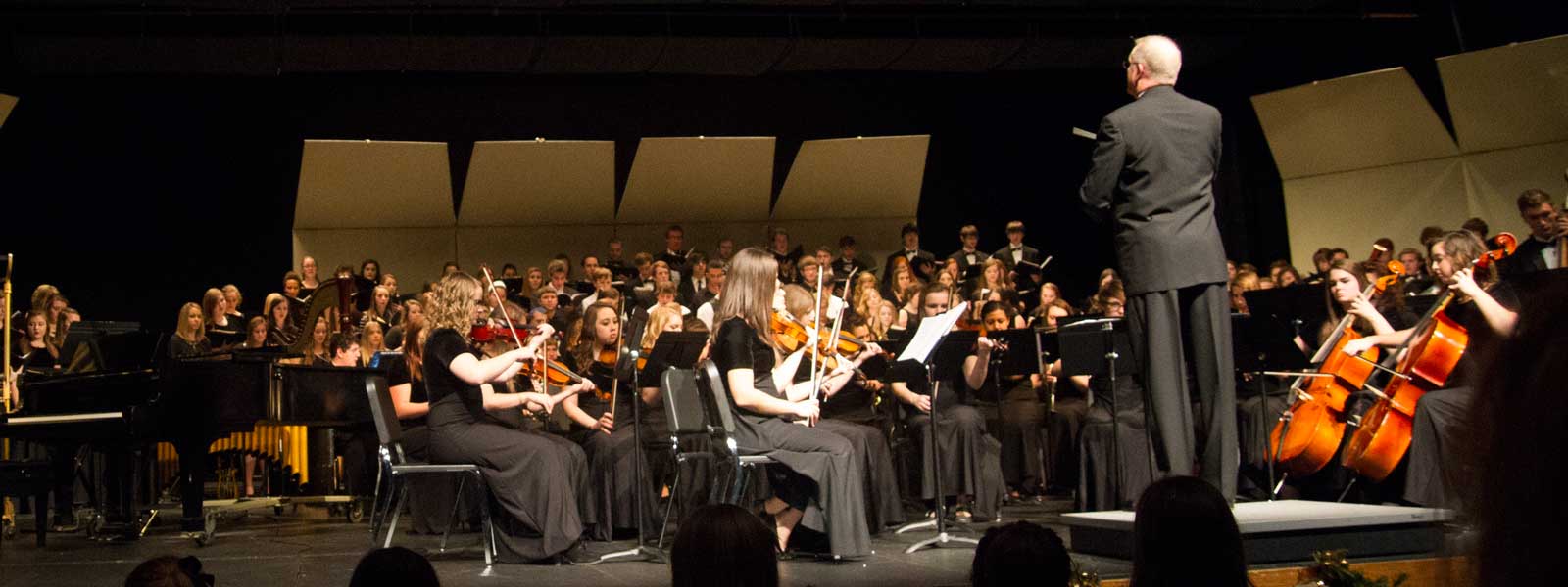 orchestra concert